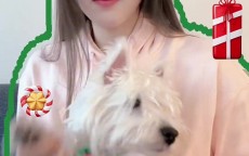 很放松！李月汝社媒晒日常随笔：圣诞🎄和小狗🐕 圣诞快乐！