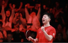 🏓WTT官方最新一期世界排名：马龙未出现榜单中