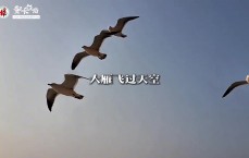 超5000字！宋凯《对中国足球发展的几点思考》演讲，戳视频👉