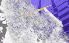 天津津门虎足球俱乐部2025赛季主场球衣正式发布！