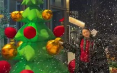 长长久久！张宁妻子晒甜蜜日常：幸福是酵母 我将是块蓬松的面包