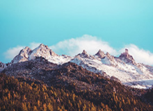 石家庄1-0领先！阿约维单刀破门，高华泽直塞助攻