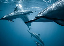 朱俊龙：想对刚进一队的自己说一切付出都是值得 给这赛季打100分